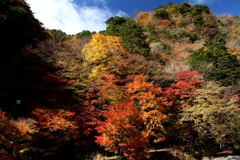 晴れた温泉街
