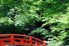 京都の寺社３