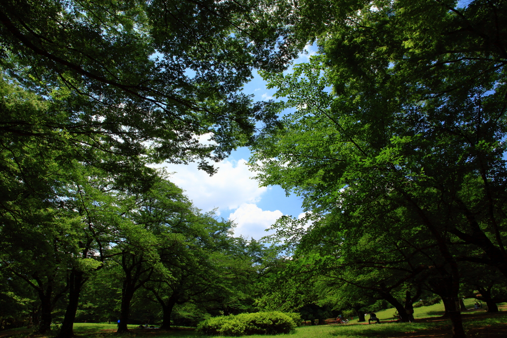 東京の公園20