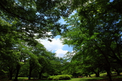 東京の公園20