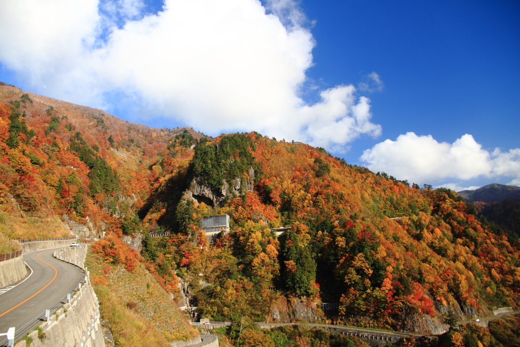 白山白川郷ホワイトロード１