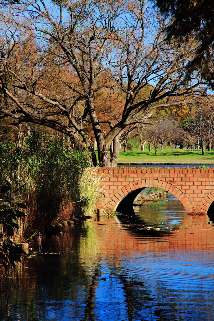 東京の公園37