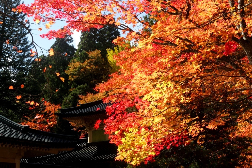 高野山