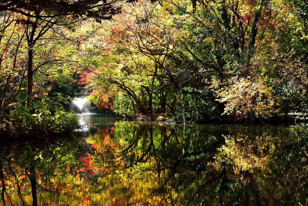 東京の公園41