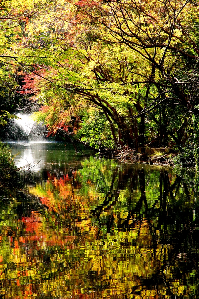 東京の公園40