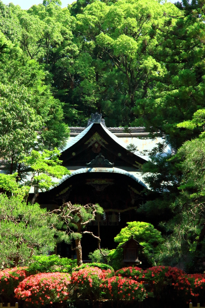 京都の寺社１