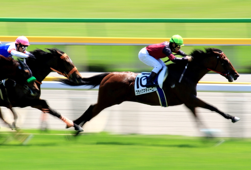 東京の競馬場3