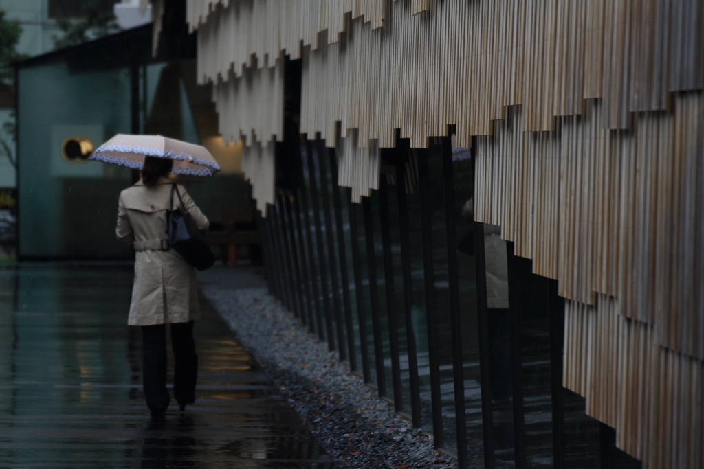 雨