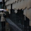 雨