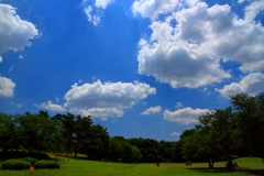 東京の公園23