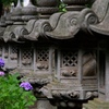 紫陽花の寺