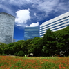 東京の公園30