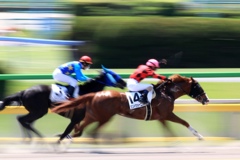 東京の競馬場1