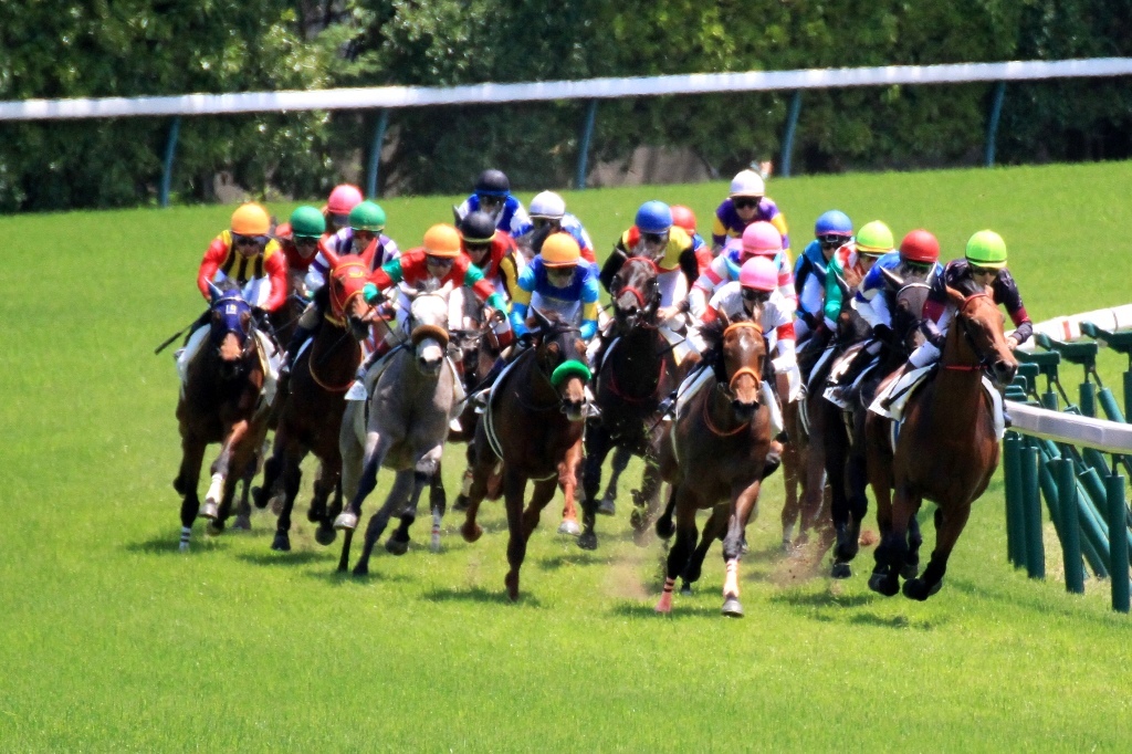 東京の競馬場2
