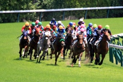 東京の競馬場2