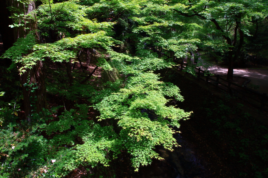京都の寺社４