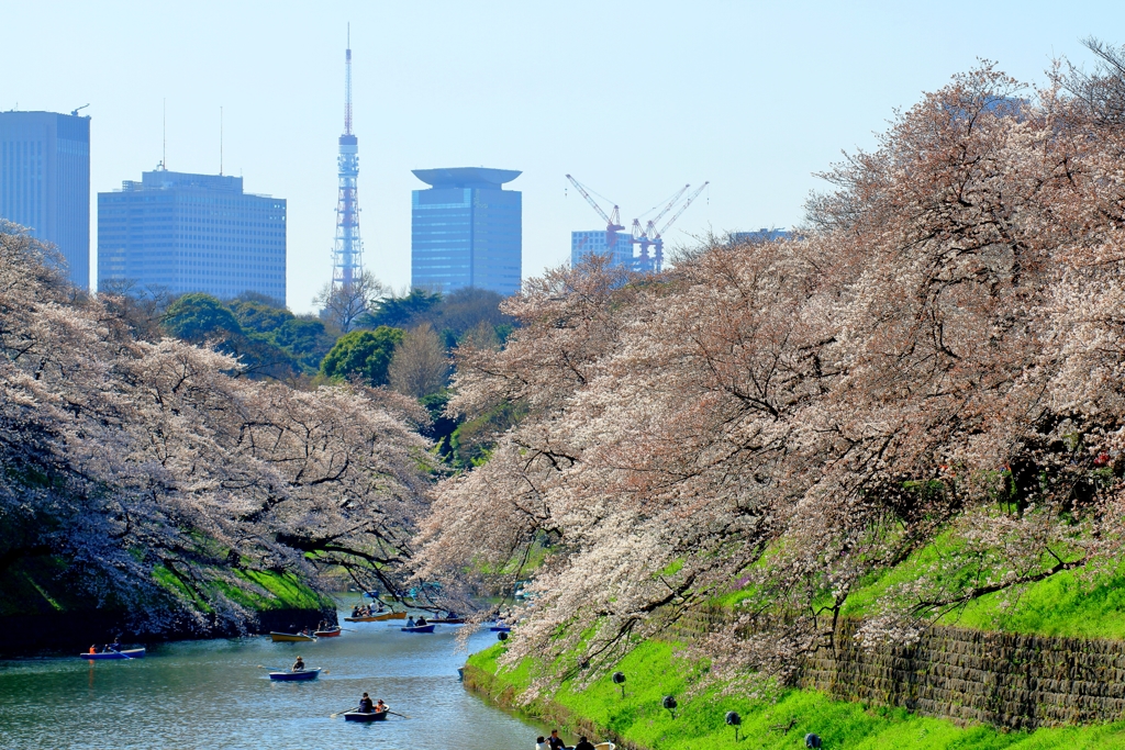 東京の公園14