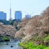 東京の公園14