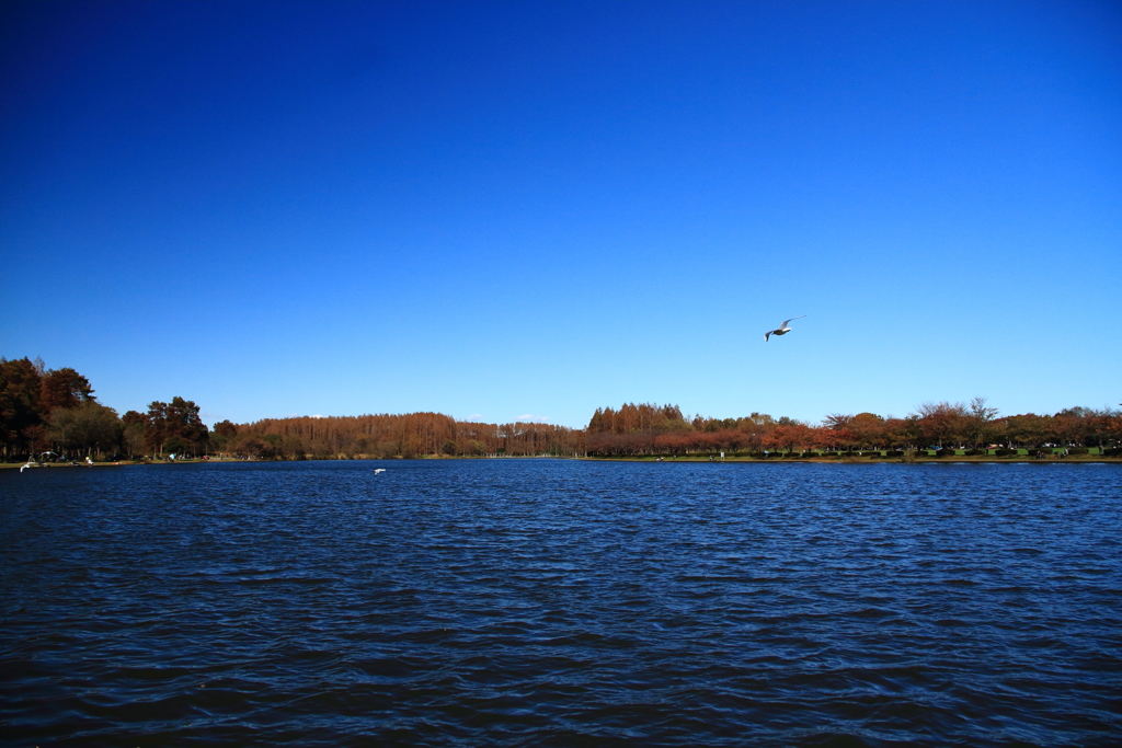 東京の公園38
