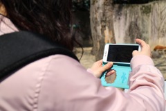 動物園で