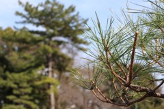 公園にて