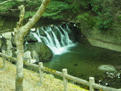 糸