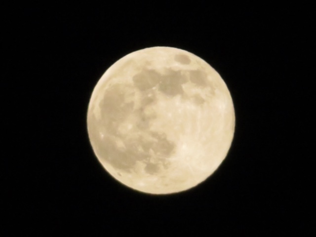 strawberry moon