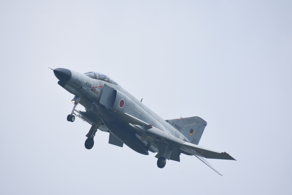 20190729 百里基地 かえるファントム その1