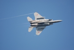 2014 三沢基地航空祭 F-15