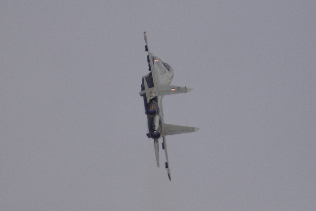 IAF Su-30MKI その4