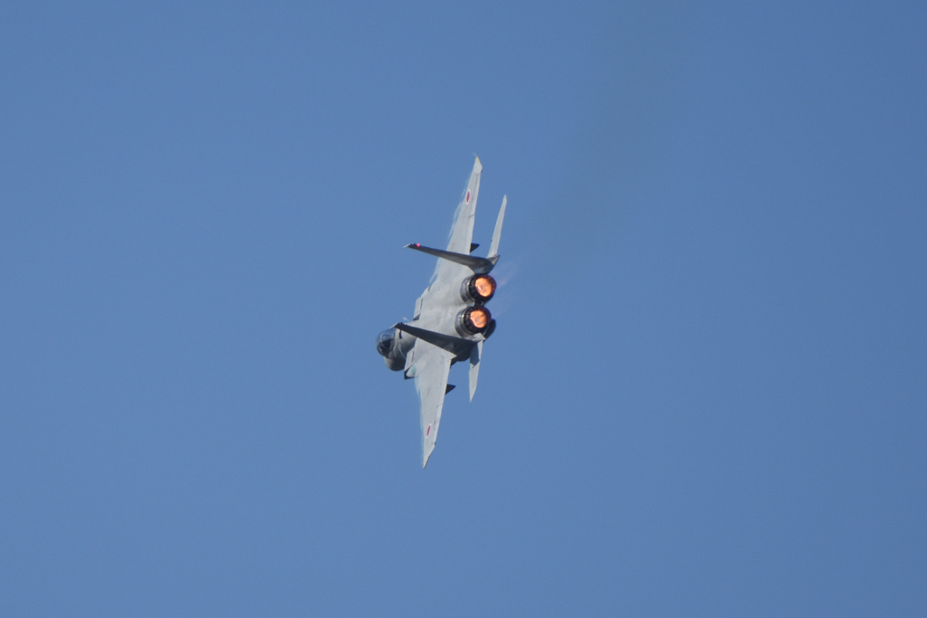 2019 岐阜基地航空祭 F-15 その1