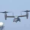 2019 三沢基地航空祭 CV-22