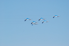 2017 三沢基地航空祭 Blue Impulse