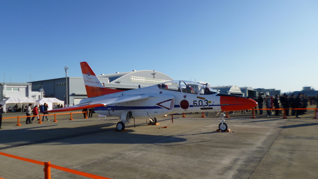 2019 岐阜基地航空祭 T-4 特別塗装機 その1