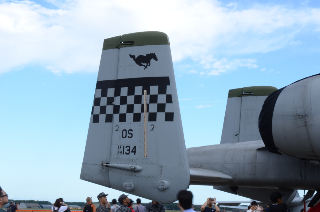 2024 三沢基地航空祭 地上展示 A-10 その2