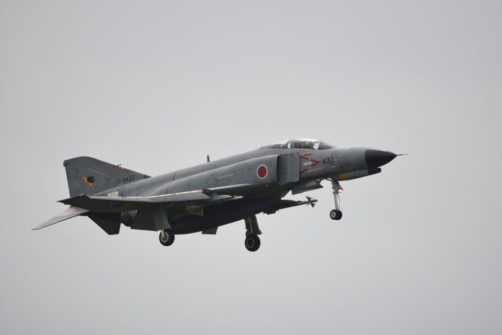 20200713 かえる F-4 その5