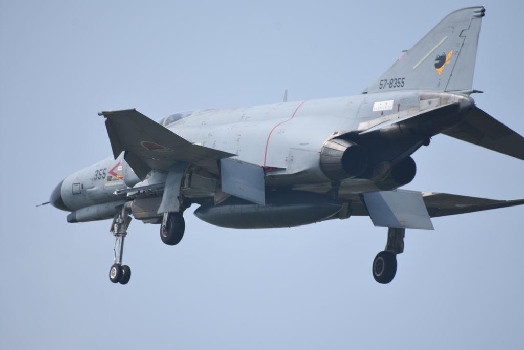 20190729 百里基地 かえるファントム その2