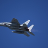2025 三沢基地航空祭 F-15 その2
