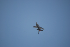 2017 三沢基地航空祭 前日予行 F-16