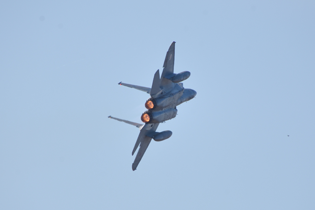 2019 岐阜基地航空祭 F-15 その4