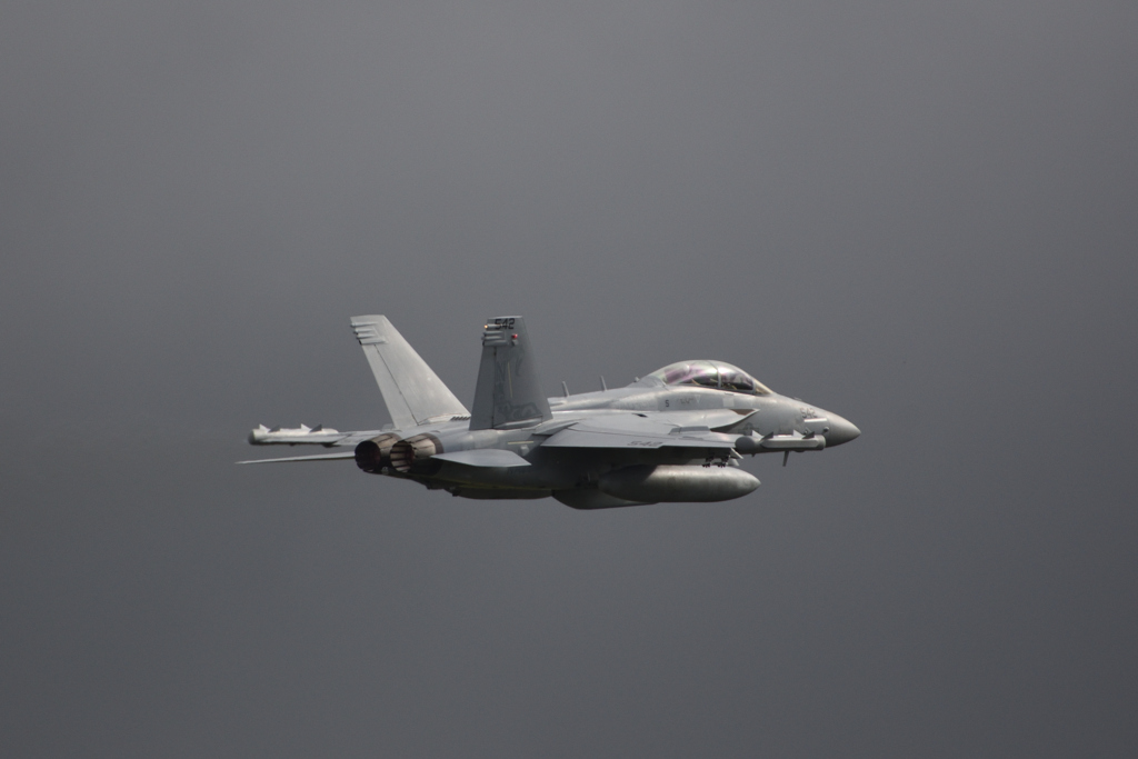 2023 三沢基地航空祭 オープニングフライト EA-18G その1