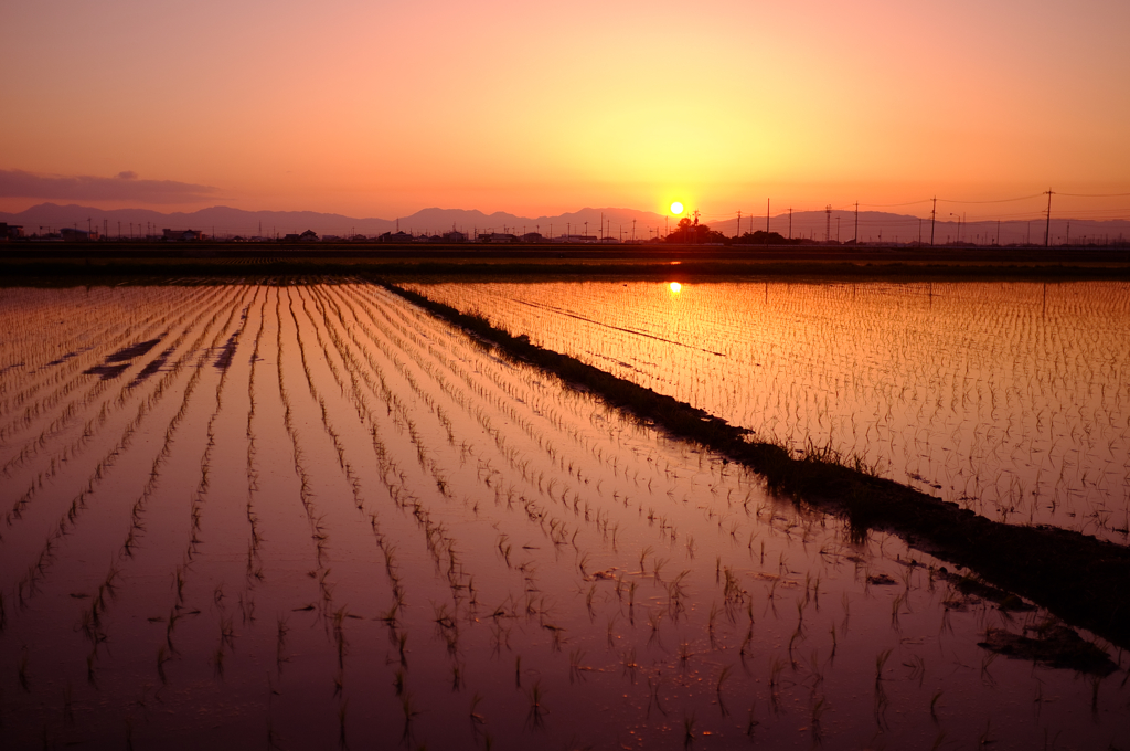 飛島村の夕暮れ