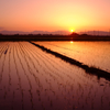 飛島村の夕暮れ