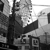 観覧車のある風景