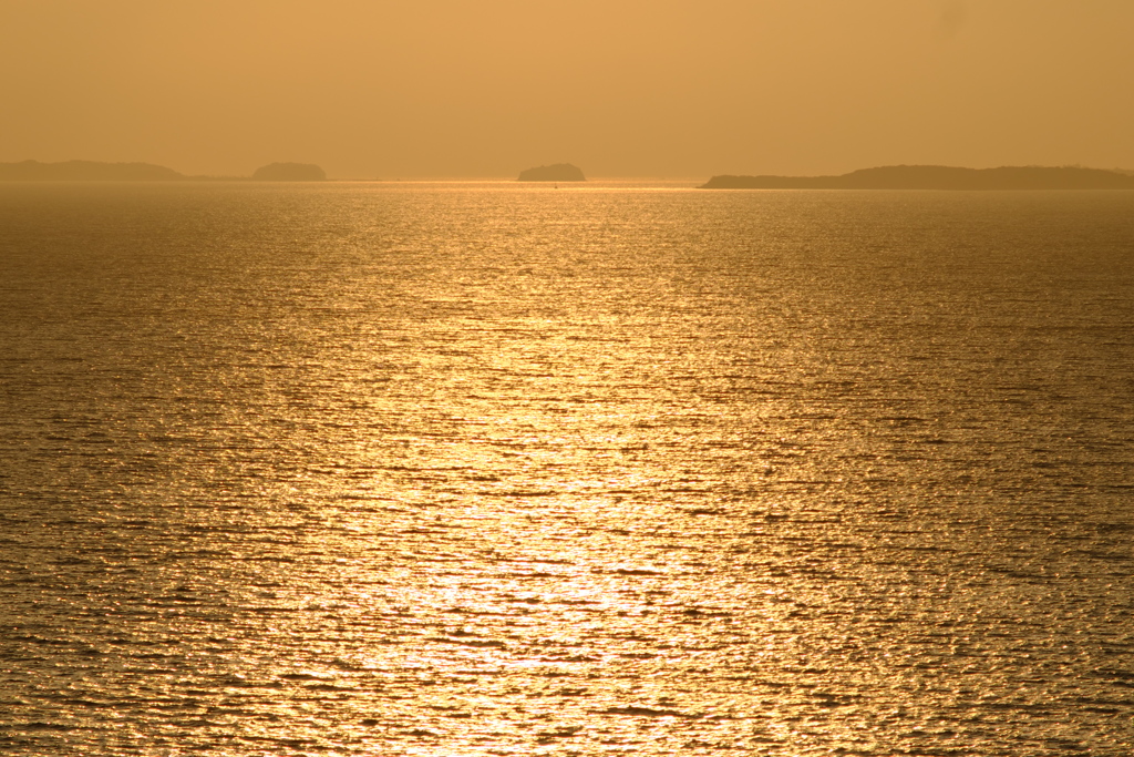 黄金色の海