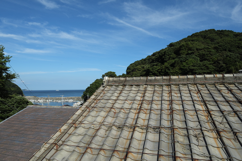 海が見えた。海が見える