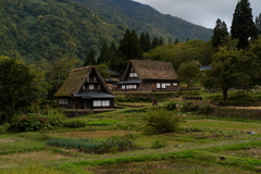 秋の気配