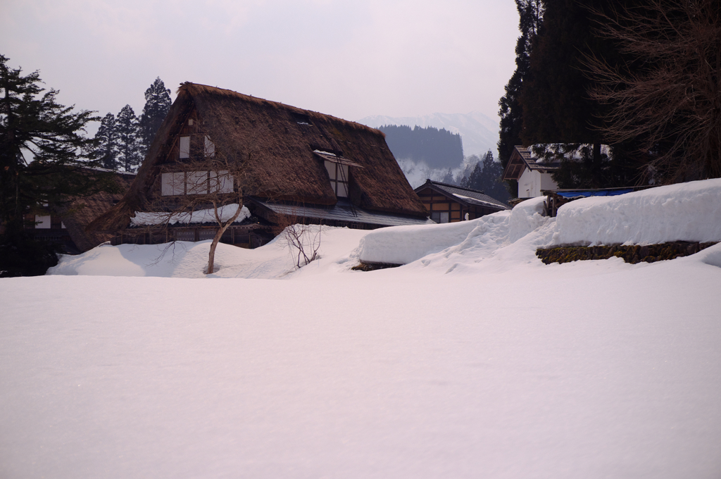 雪深く