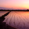 飛島村の夕暮れ その２