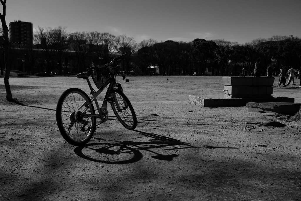 休日の白川公園